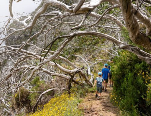Kleine Schritte, großes Abenteuer: Wandern mit Kindern